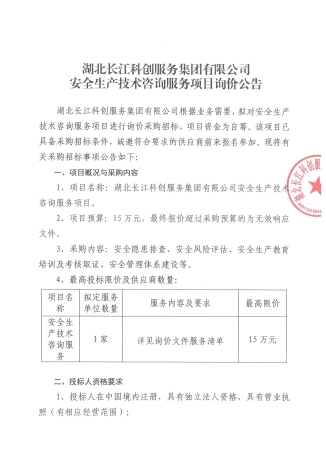 安全技术咨询服务询价公告